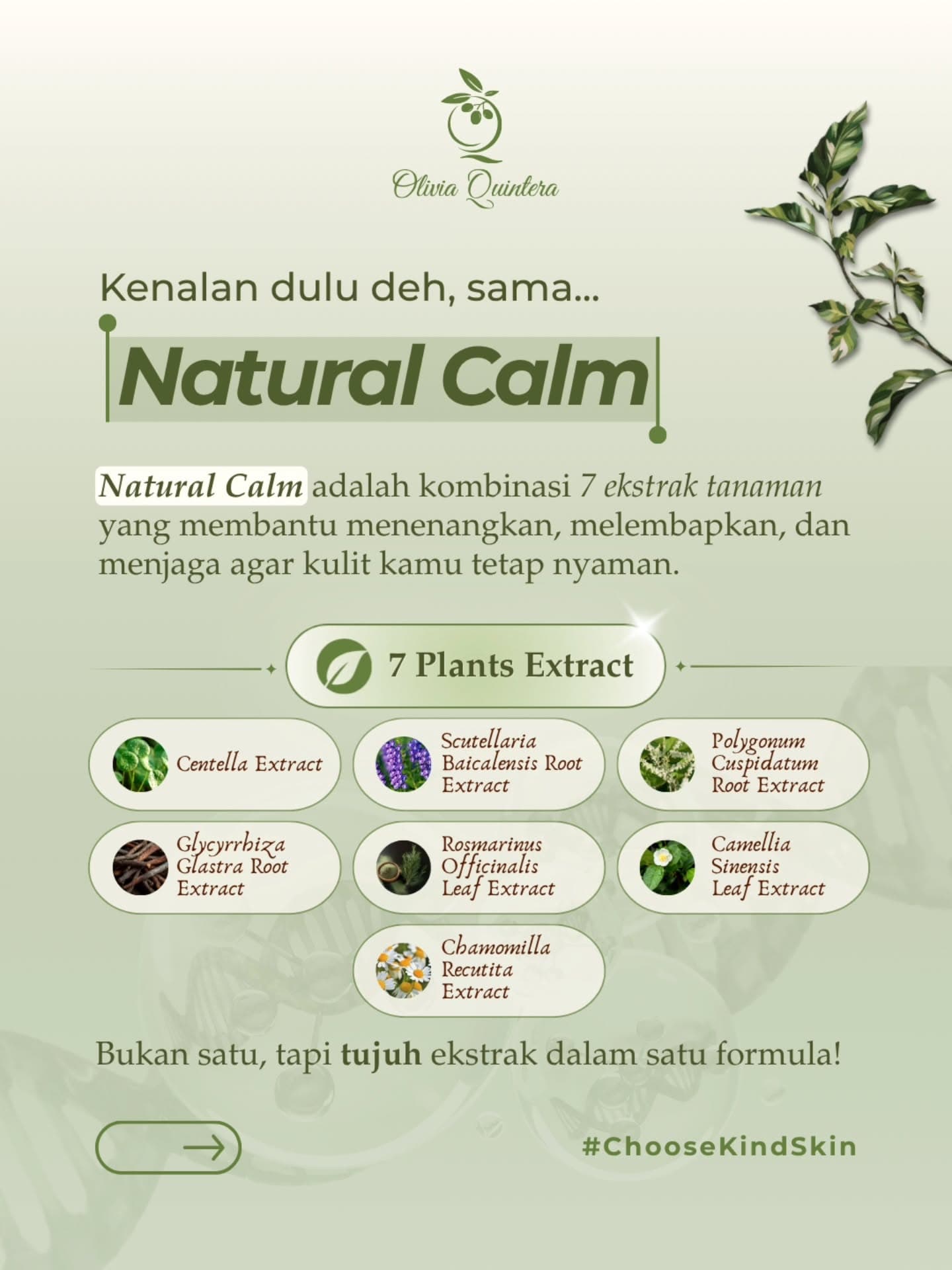 Shooting Bright Face Toner, infografis
